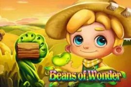 Beans of Wonder